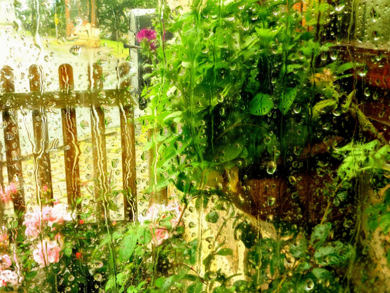 Rain for the Garden
