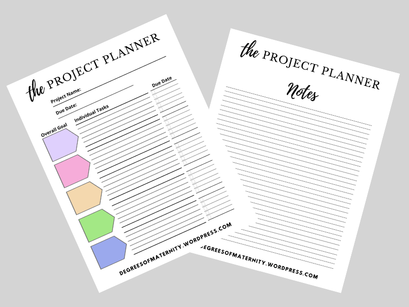 The Project Planner 1